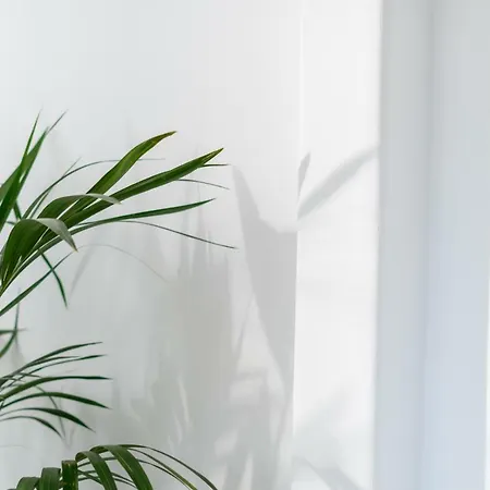 Samsara Private Willa