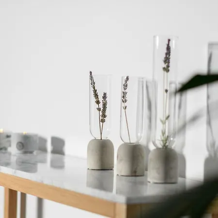 Samsara Private Willa Megalochori (Santorini)