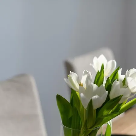 Samsara Private Willa *