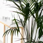 别墅 Samsara Private 梅加洛克里