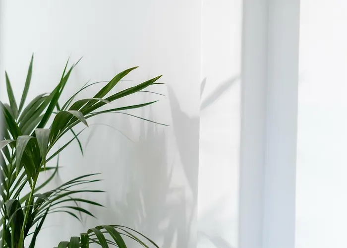 Samsara Private 빌라