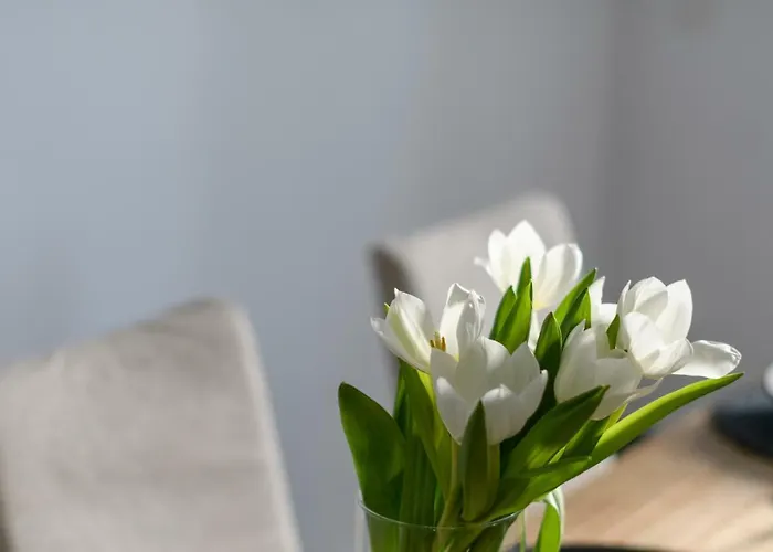 Samsara Private 빌라 *