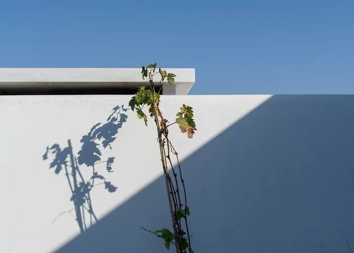 Samsara Private Βίλα Μεγαλοχώρι