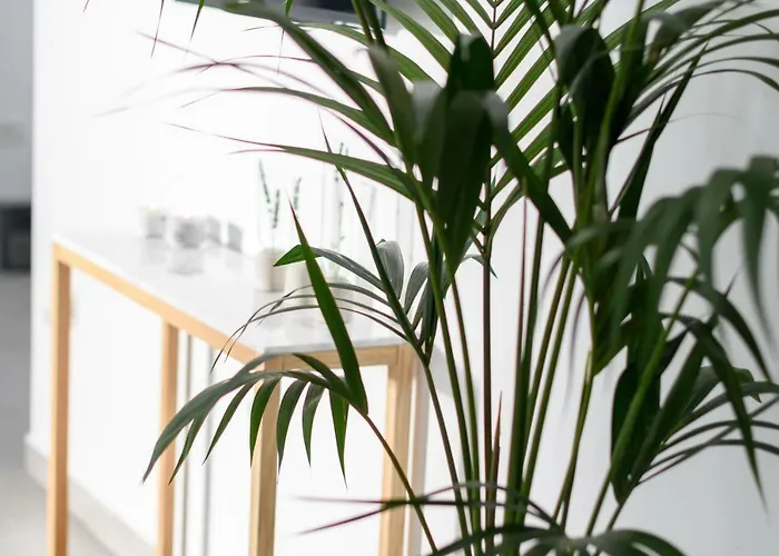 Villa Samsara Private Megalochori (Santorini)